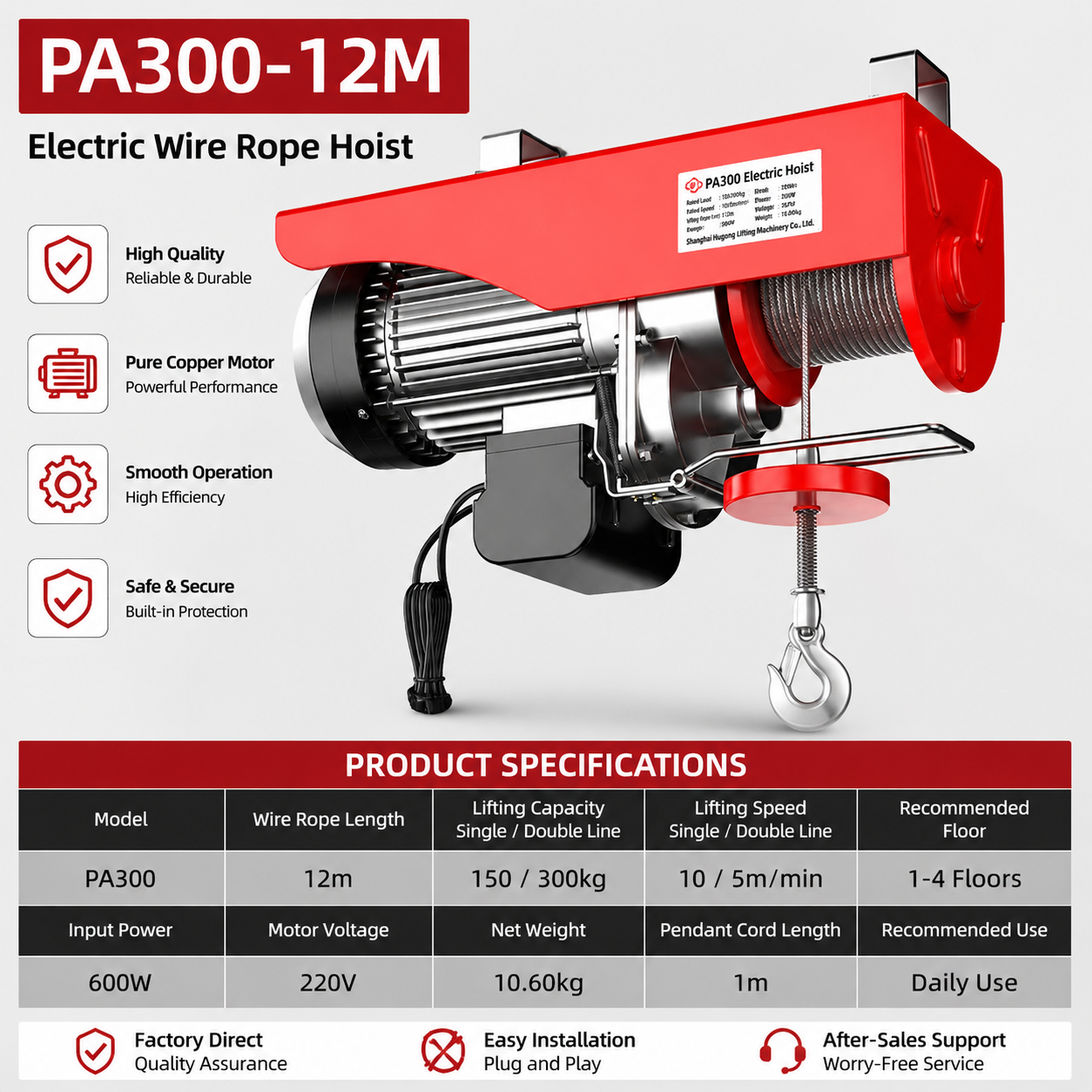 CD PA300-12M electric hoist